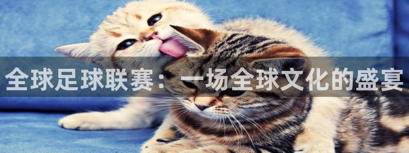 全球足球联赛：一场全球文化的盛宴