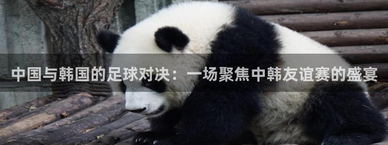 中国与韩国的足球对决：一场聚焦中韩友