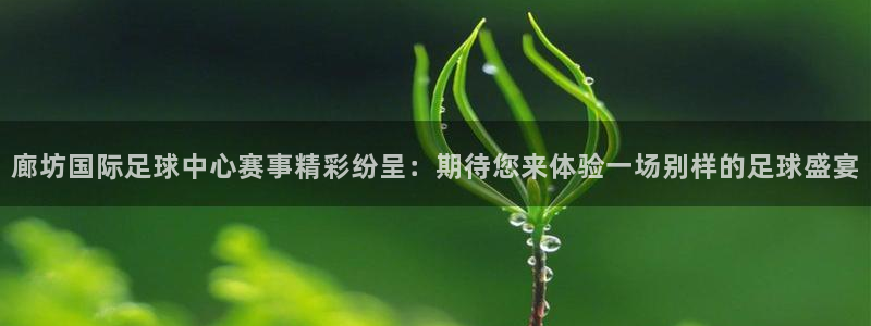  廊坊国际足球中心赛事精彩纷呈：期待您来体验一场别样的足球盛宴
