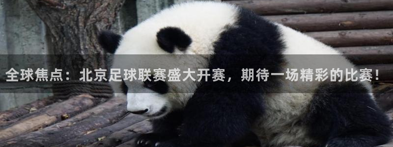  全球焦点：北京足球联赛盛大开赛，期待一场精彩的比赛！