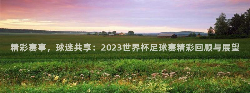 精彩赛事，球迷共享：2023世界杯足球赛精彩回顾与展望