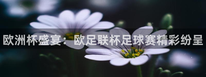 欧洲杯盛宴：欧足联杯足球赛精彩纷呈