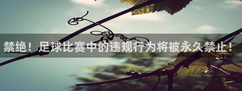 禁绝！足球比赛中的违规行为将被永久禁止！