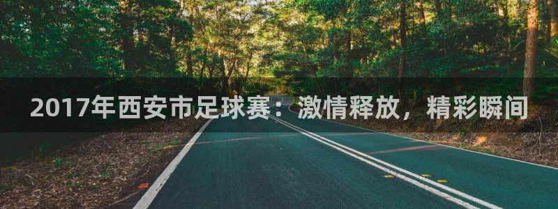  2017年西安市足球赛：激情释放，精彩瞬间
