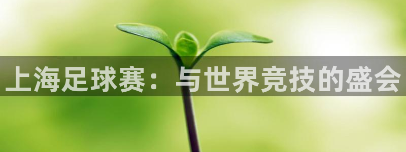 上海足球赛：与世界竞技的盛会