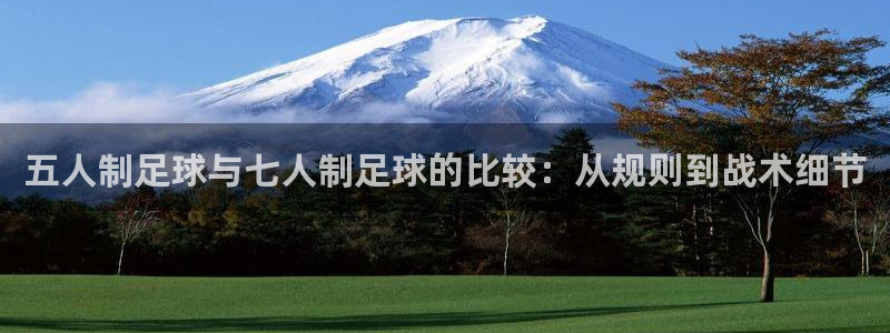 五人制足球与七人制足球的比较：从规则到战术细节