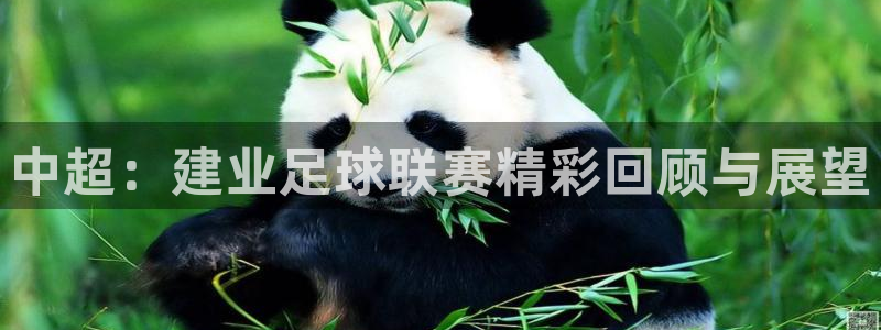 中超：建业足球联赛精彩回顾与展望