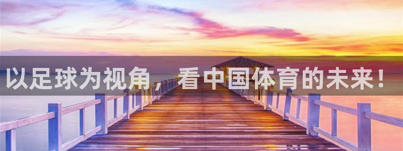  以足球为视角，看中国体育的未来！