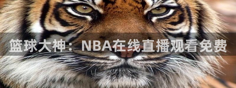 147体育直播吧：篮球大神：NBA在线直播观看免费