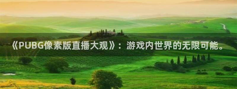 直播吧体育赛程表：《PUBG像素版直播大观》：游戏内世界的无限可能。