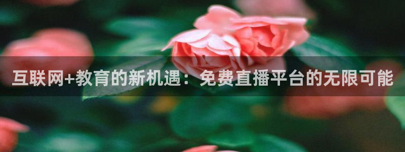 直播nba免费观看直播吧：互联网+教育的新机遇：免费直播平台的无限可能
