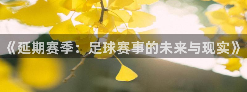 《延期赛季：足球赛事的未来与现实》