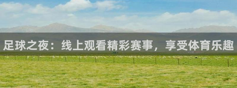 足球之夜：线上观看精彩赛事，享受体育