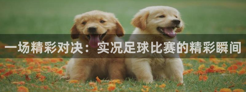 一场精彩对决：实况足球比赛的精彩瞬间