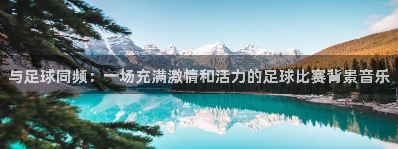 与足球同频：一场充满激情和活力的足球