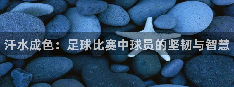汗水成色：足球比赛中球员的坚韧与智慧