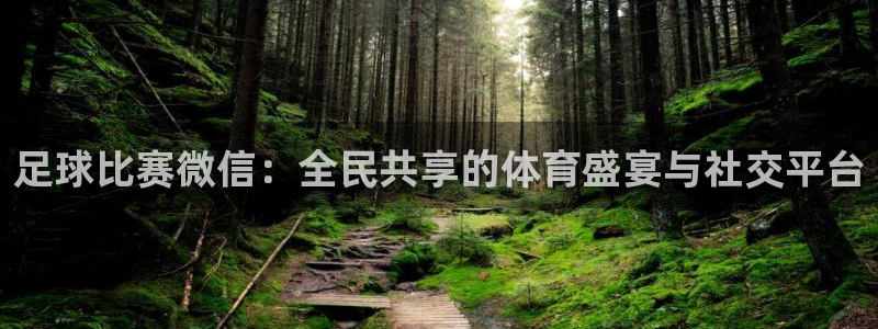 足球比赛微信：全民共享的体育盛宴与社