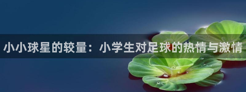 小小球星的较量：小学生对足球的热情与