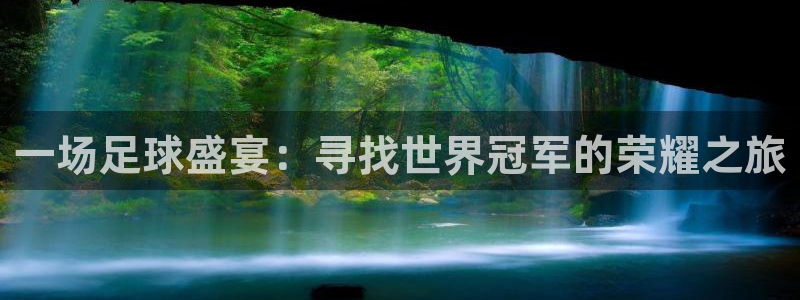 一场足球盛宴：寻找世界冠军的荣耀之旅