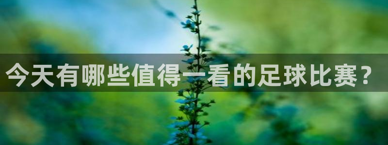 今天有哪些值得一看的足球比赛？