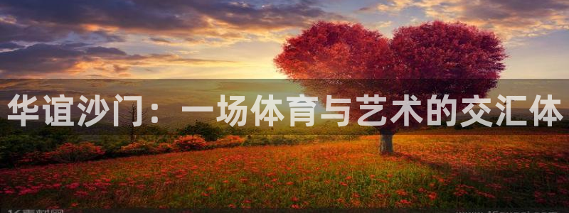 华谊沙门：一场体育与艺术的交汇体
