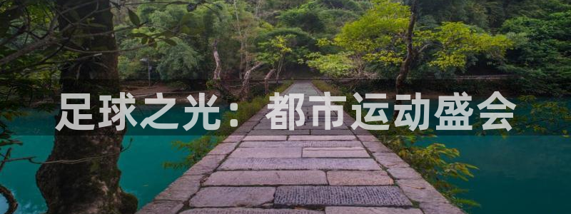  足球之光：都市运动盛会
