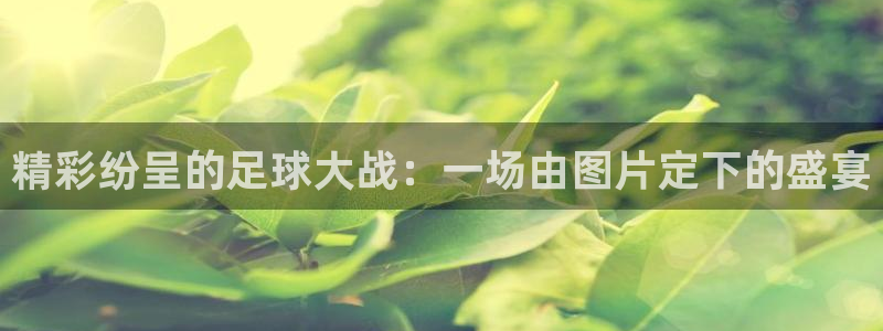 精彩纷呈的足球大战：一场由图片定下的盛宴