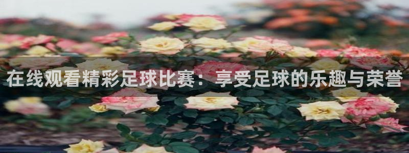 在线观看精彩足球比赛：享受足球的乐趣与荣誉