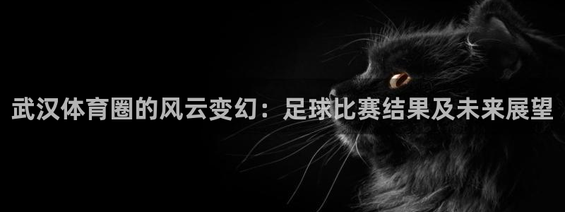武汉体育圈的风云变幻：足球比赛结果及
