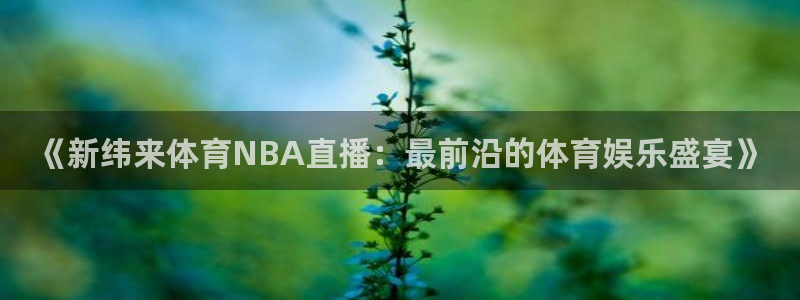 nba录像高清回放像98直播吧：《新纬来体育NBA直播：最前沿的体育娱乐盛宴》