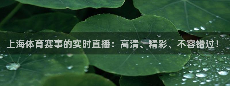 直播吧啊：上海体育赛事的实时直播：高清、精彩、不容错过！