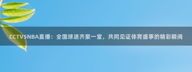 雨燕体育直播吧免费观看：CCTV5NBA直播：全国球迷齐聚一堂，共同见证体育盛事的精彩瞬间