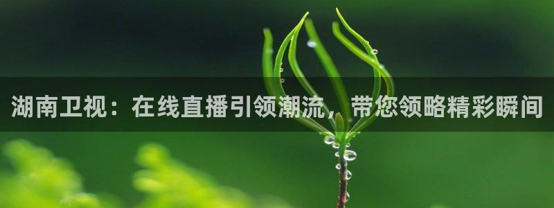 体育直播吧手机版官网：湖南卫视：在线直播引领潮流，带您领略精彩瞬间