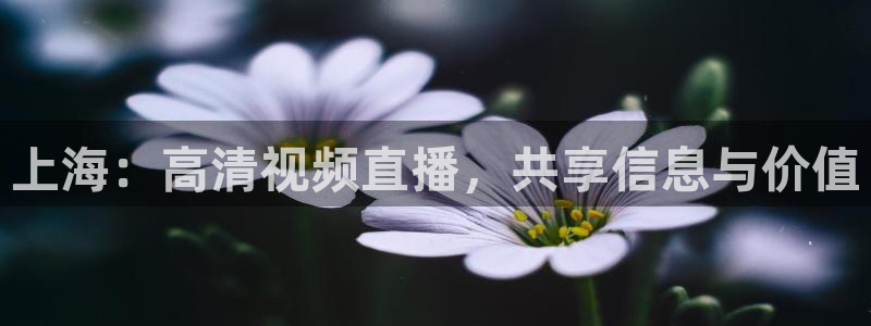 飞速直播nba直播吧：上海：高清视频直播，共享信息与价值