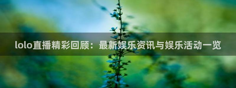 懂球直播吧：lolo直播精彩回顾：最新娱乐资讯与娱乐活动一览