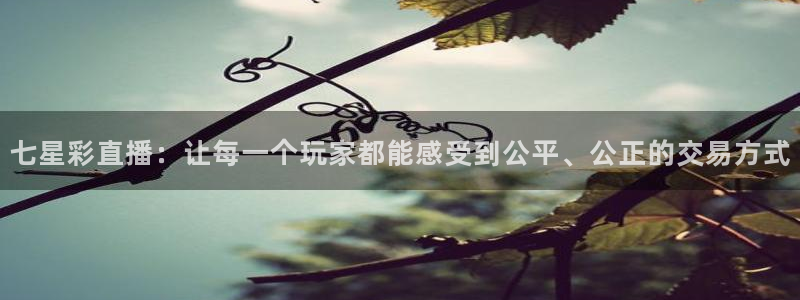 jrs直播吧低调直播：七星彩直播：让每一个玩家都能感受到公平、公正的交易方式
