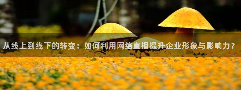 直播直播吧：从线上到线下的转变：如何利用网络直播提升企业形象与影响力？